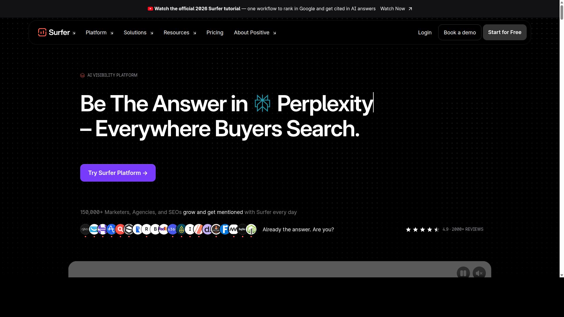 Surfer SEO website